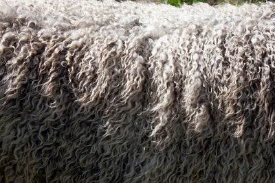 Canapés en laine : les avantages et les particularités des canapés en laine