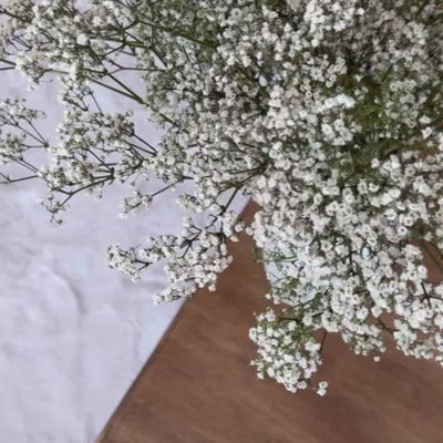 Tapis à poils longs Logan